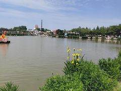-荷兰花海