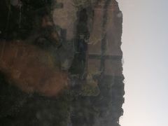 -太湖饭店玉兰厅(自助餐厅)