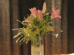 -阿妮叶李(光谷世界城店)