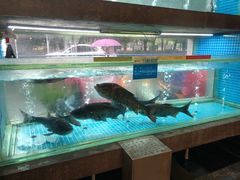 水产区-常和州·夜宵大排档(常州单店)