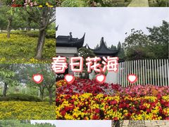 -苏州上方山国家森林公园