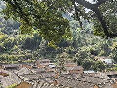 -杨家堂村