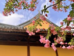 -龙华寺