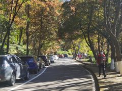 -广州市石门国家森林公园