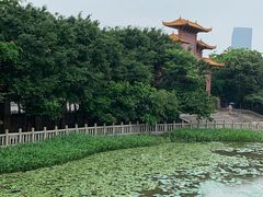 -福神岗公园