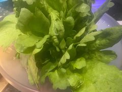 -王家渡火锅店(棕榈泉店)