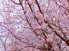 -安定门(地铁站)