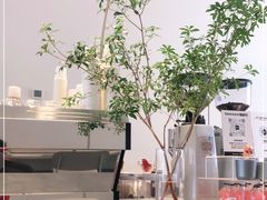 -Seesaw Coffee(上生新所店)