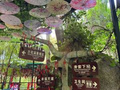-呀诺达热带雨林
