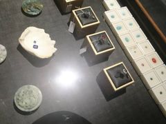-灵龟之家百象馆(百象馆联合旗舰店)