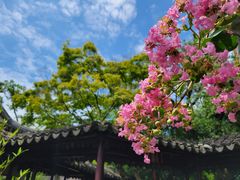 -留园