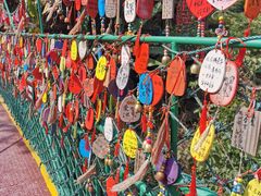 -西双版纳原始森林公园