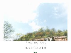 -皖西大裂谷