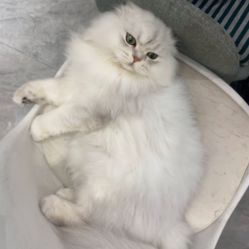 -隅日式美甲美睫專門店