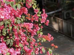 -Something For(鹏润达店)