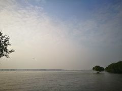 -宝安西湾红树林湿地公园