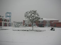 白衣天使-佘山镇社区卫生服务中心