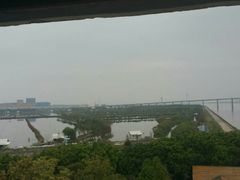 -大湾区中央湿地公园