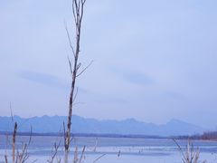 -野鸭湖国家湿地公园