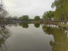 -西安浐灞国家湿地公园