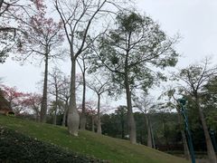 -东部华侨城