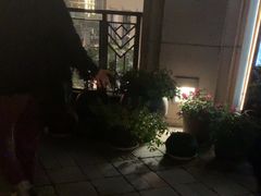 -瓦库茶馆17号(海汇港店)