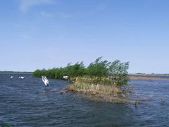 -呼兰河口湿地公园
