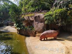 -深圳野生动物园