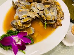 -石湖大酒店(桐泾店)