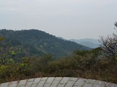 -金龙寺国家森林公园