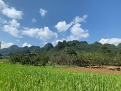 -万峰林风景区