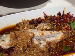 -杨氏青龙虾·羊蝎子(托乐嘉店)