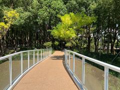 -昆山城市公园