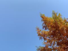 -翠湖国家城市湿地公园
