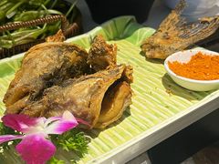 -云尊府云南菜·蒸汽石锅鱼(学清路店)