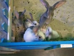 -常州海昌海洋探索馆