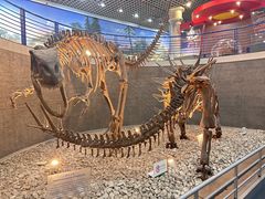 -国家自然博物馆