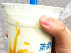 -茶救星球·蔬果茶(福田水围店)