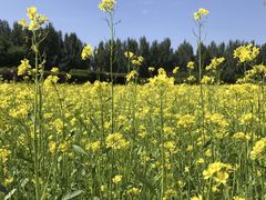 -长春公园(普阳街道)