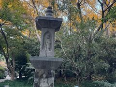 -汇龙潭