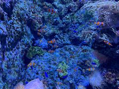 -新加坡海洋生态馆