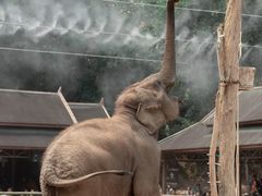 -野象谷景区