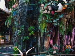 -正佳雨林生态植物园
