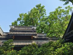 -鱼桥巷·美学川菜