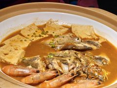 鲜鱼一锅出-船歌·鱼水饺青岛菜(金狮广场店)