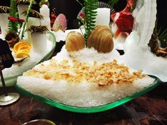 大象拔蚌刺身-海鼎荟海鲜姿造(泉州仟禧店)