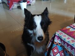 -哈尔滨北方国际青年旅舍(中央大街店)