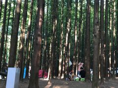 -山王坪喀斯特国家生态公园