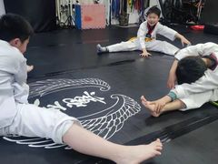 -金翼跆拳道巴西柔术拳击格斗学院