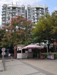 -复旦大学附属妇产科医院(杨浦院区)